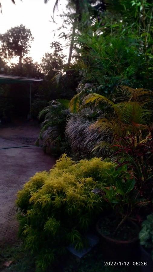 Fab Valley Homestay Munnar Εξωτερικό φωτογραφία
