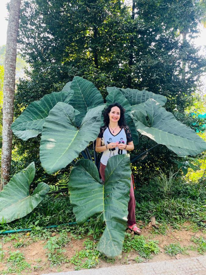 Fab Valley Homestay Munnar Εξωτερικό φωτογραφία